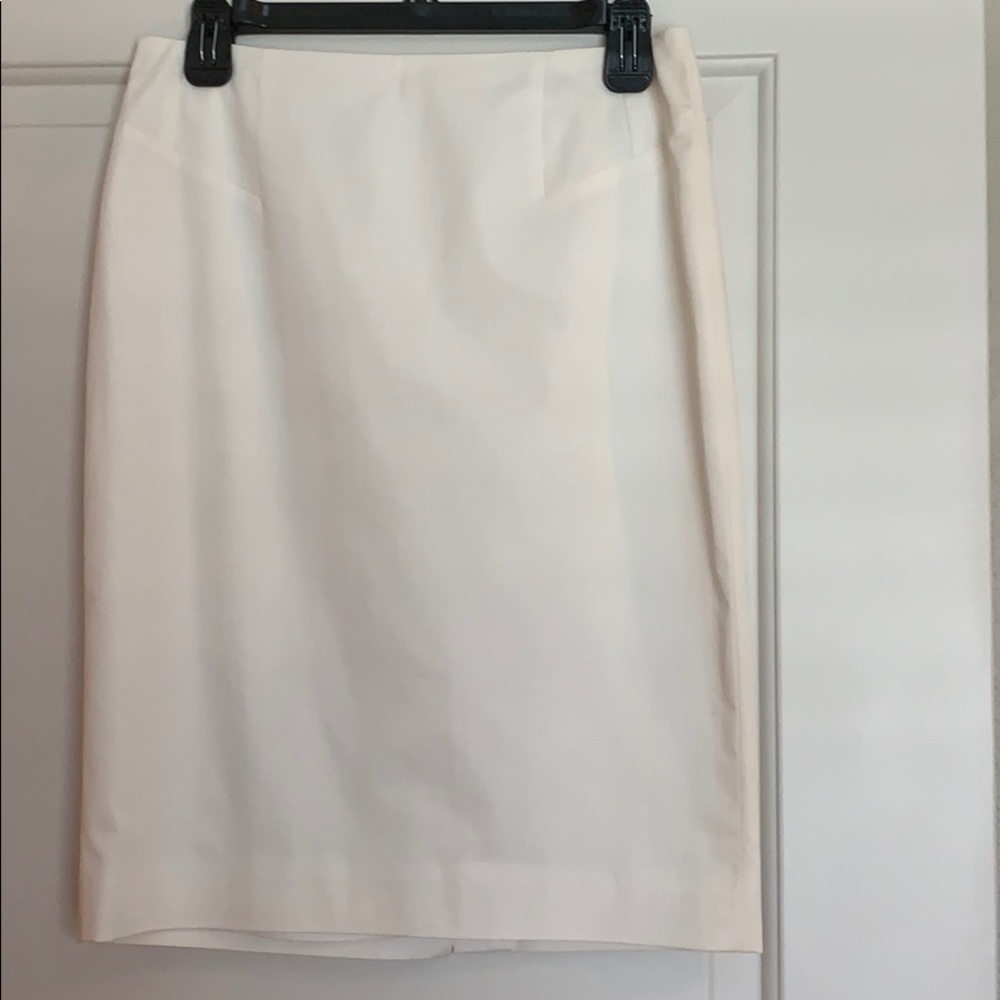 Ann Taylor skirt